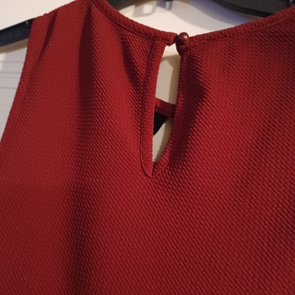 Red Wine Colored Dress - Picture 5 of 5